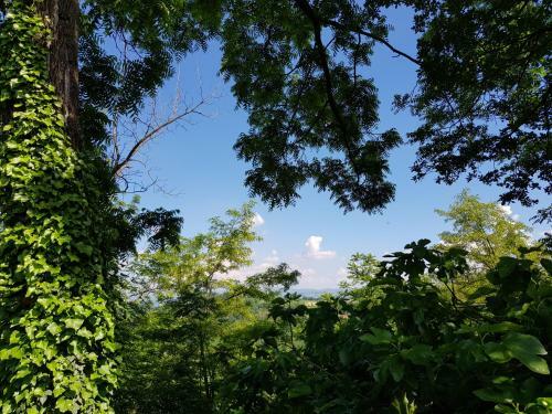 Bed & Breakfast La Collina Dei Passeri