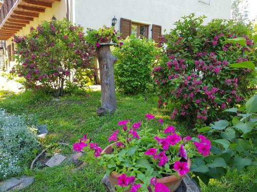 Bed & Breakfast La Collina Dei Passeri