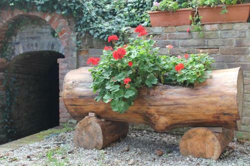 Bed & Breakfast La Collina Dei Passeri