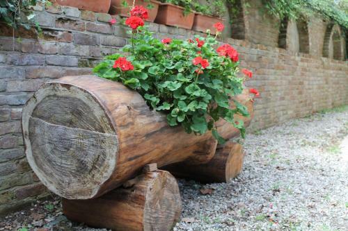 Bed & Breakfast La Collina Dei Passeri