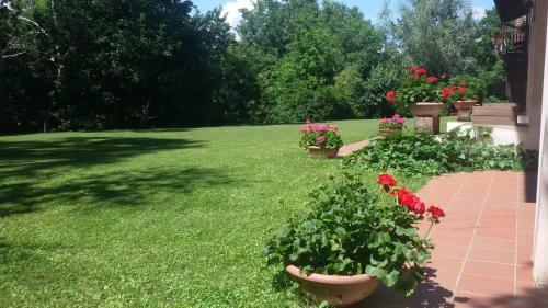 Bed & Breakfast La Collina Dei Passeri
