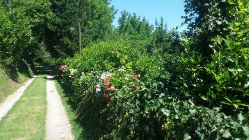 Bed & Breakfast La Collina Dei Passeri
