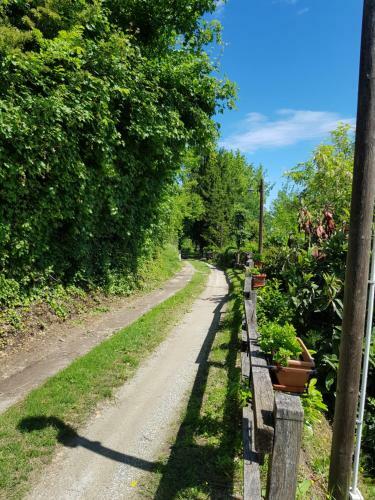 Bed & Breakfast La Collina Dei Passeri