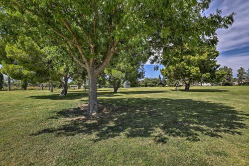 Pet-friendly Home, 4 Miles To U Of A Campus