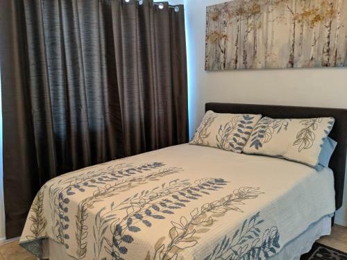 Silverbell Tree Dr Vacation Home Tucson!