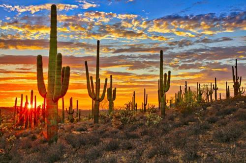Sonesta Tucson Home