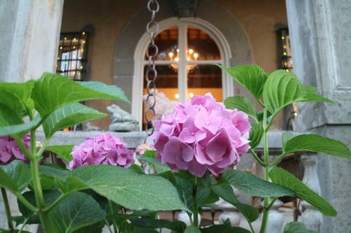 Bed & Breakfast Borgo Studiati Relais