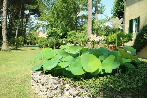 Bed & Breakfast Borgo Studiati Relais