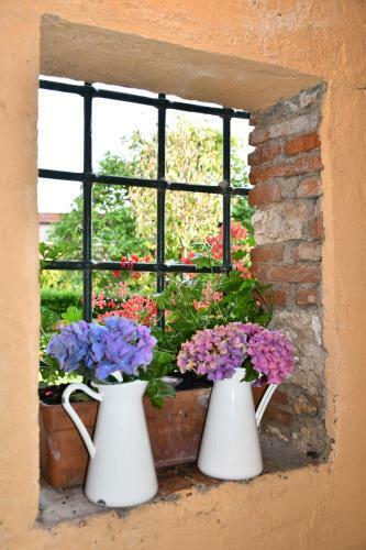 Bed & Breakfast Borgo Studiati Relais