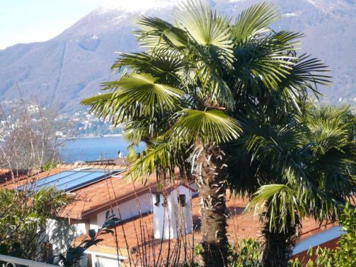 Apartamento Nicole 1
