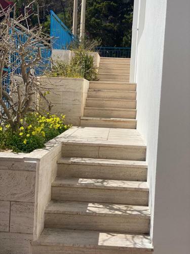 Apartamento Villa Conchilglia - 30 Metri Dal Mare