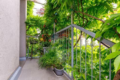 Apartamento Il Balcone Delle Camelie Suite