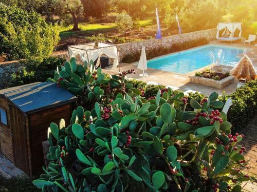 Apartamento Locazione Turistica Suite Candela