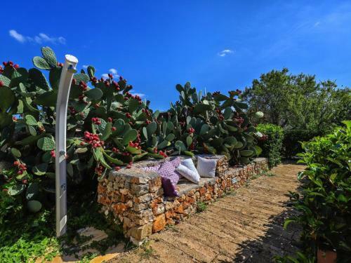 Apartamento Locazione Turistica Suite Candela