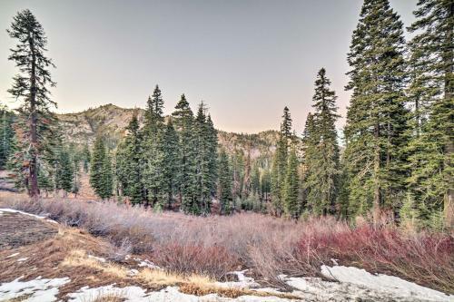 Apartamento Ski-hideaway Condo 8 Miles To Beaches And Parks!