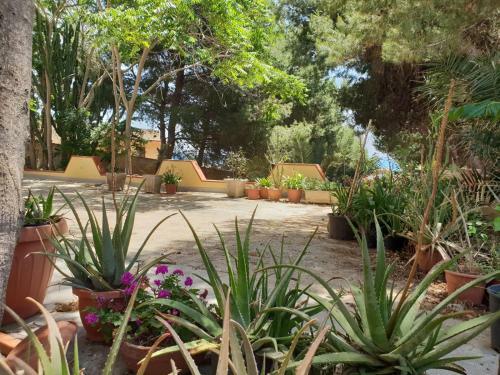 Bed & Breakfast Mediterraneo