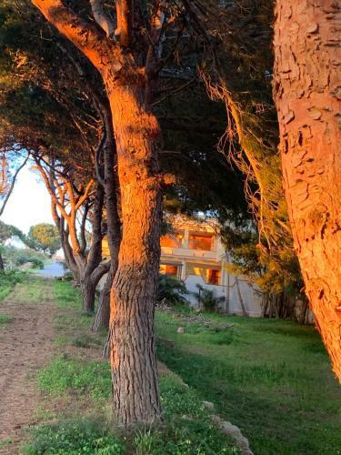 Bed & Breakfast Mediterraneo