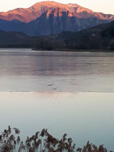 Un Nido Sul Lago
