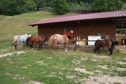 Bed & Breakfast Casa Torre