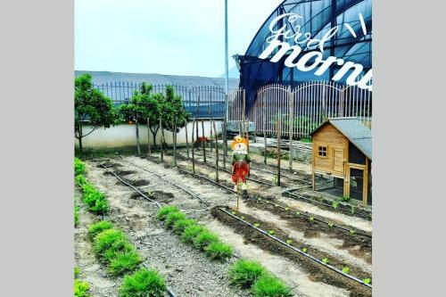 Apartamento Appartament '' Il Giardino ''