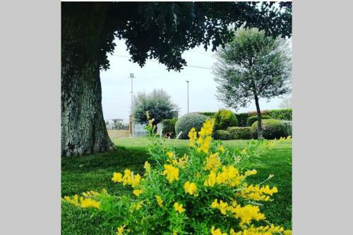 Apartamento Appartament '' Il Giardino ''