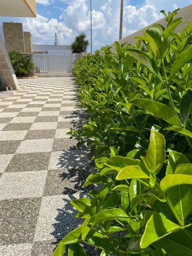 Apartamento Villetta Nevia