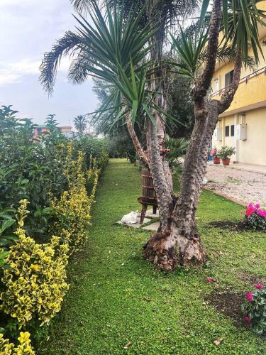 Casa Vacanze Paradise