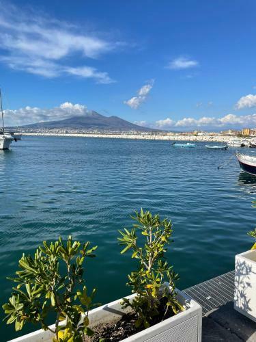 Casa Vacanze Paradise
