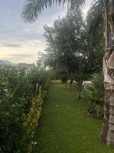 Casa Vacanze Paradise