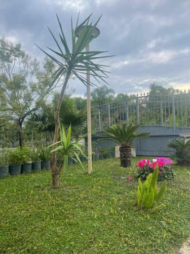 Casa Vacanze Paradise