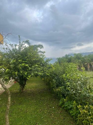 Casa Vacanze Paradise