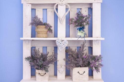 Casa Sinfon�