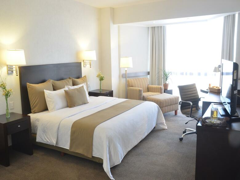 Hotel Mision Torreon