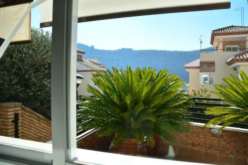 Apartamentos Tronca