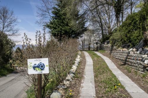 Apartamento B&B Il Mirtillo
