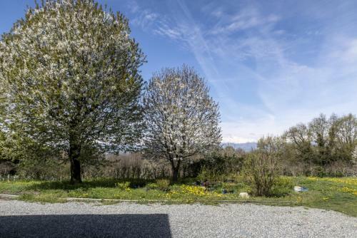 Apartamento B&B Il Mirtillo