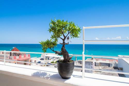 Apartamento Palazzo Grecale