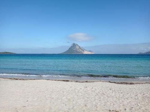 Trilocale A Un Km Dal Mare