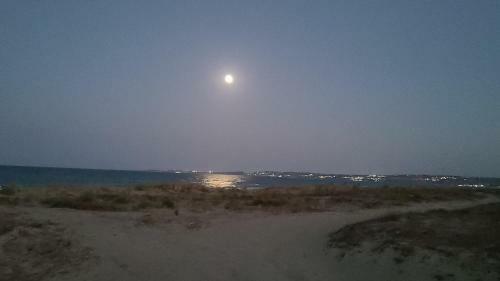 Corallo Sea House