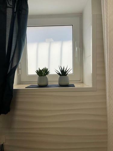 Corallo Sea House