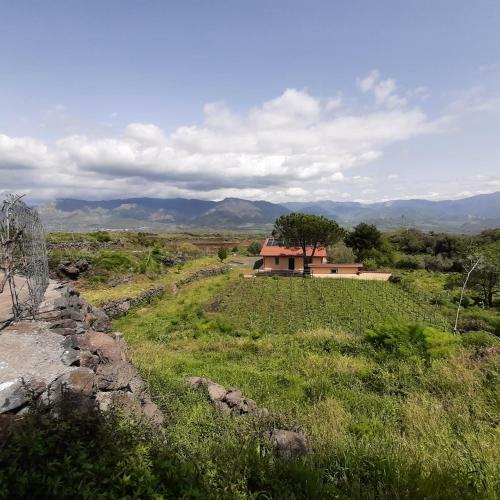 Tuccios Villa