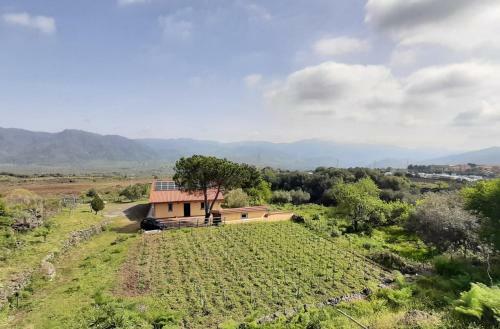 Tuccio's Villa