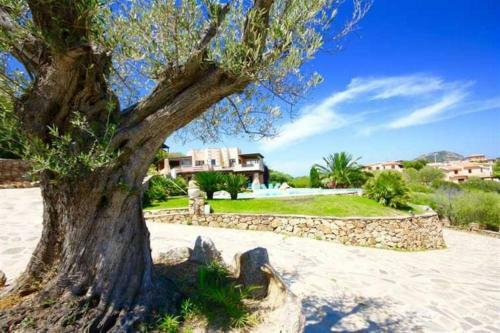 Villa And Pool Tavolara View
