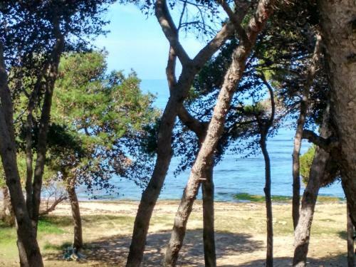Apartamento Frontemare Davide