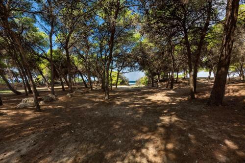 Apartamento Villetta Lido La Pineta