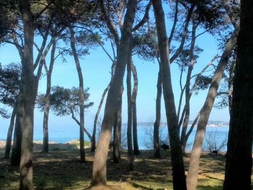 Apartamento Frontemare Carlo