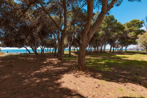 Apartamento Appartamento La Fenice