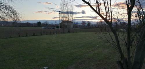 B&B Belvedere