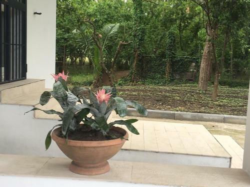 La Villetta B&B