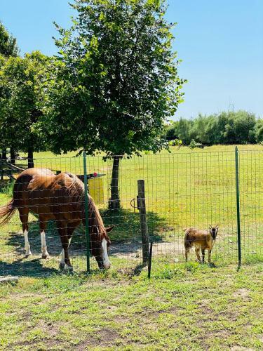 Hostal I Broletti Del Garda